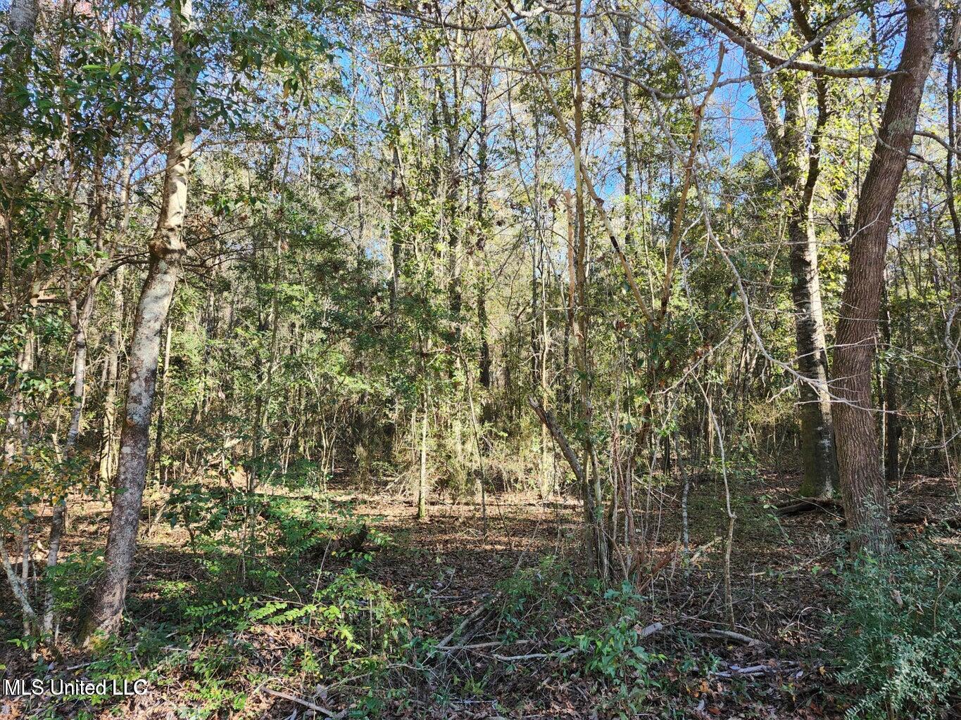 Nhn Hoda Road Kiln, MS 39556 - Photo 1 of 4 20250107031334961275000000-o (1)