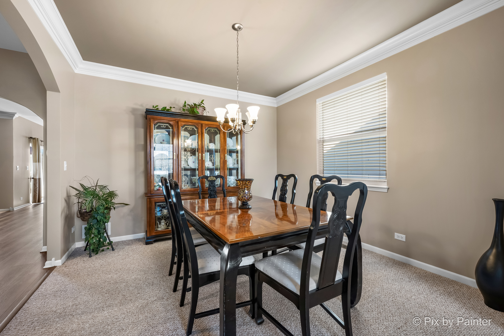 748 Cashmere Lane Elgin, IL 60124 - Photo 9 of 55
