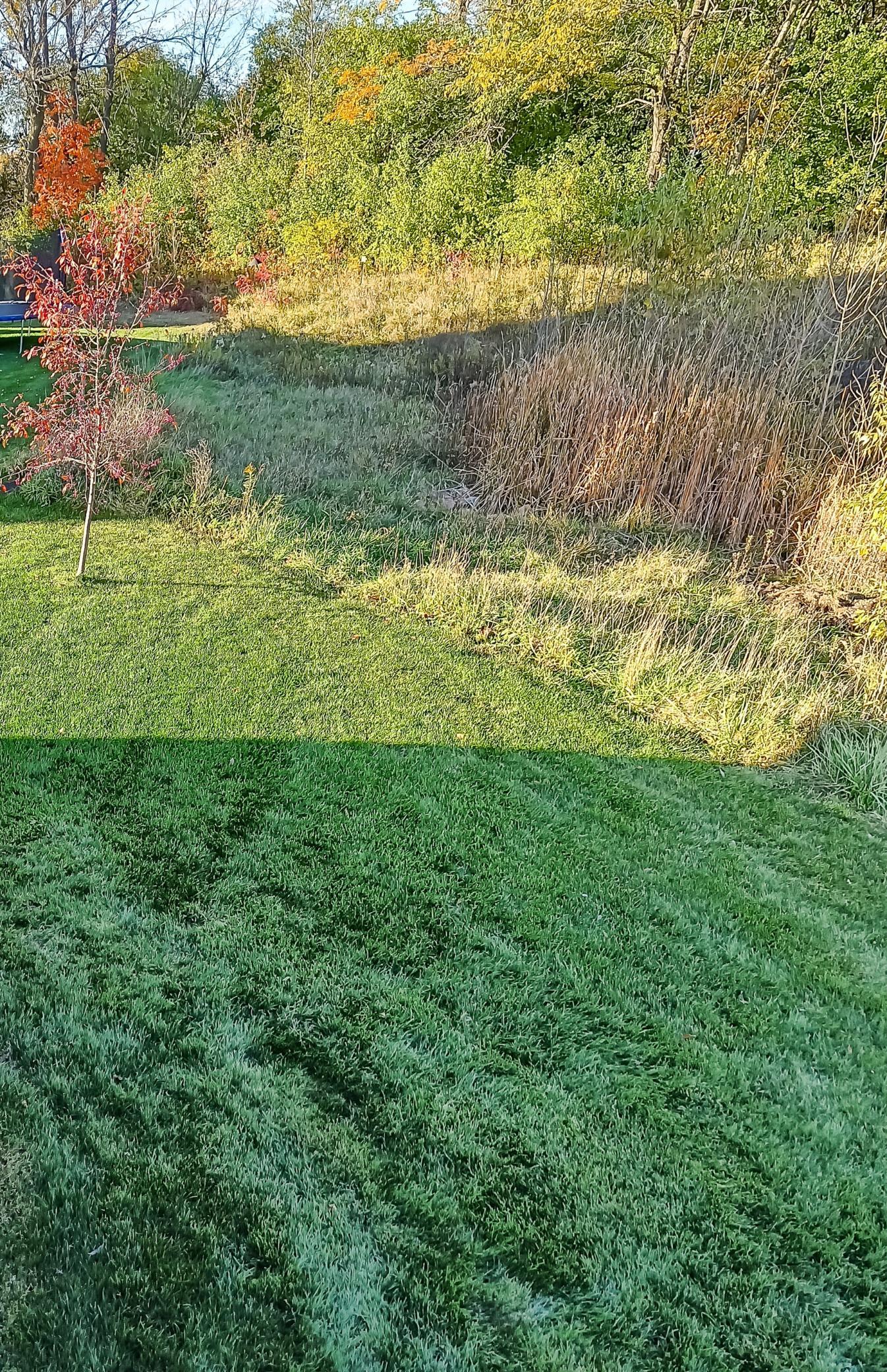 808 Arbor Woods Road Victoria, MN 55386 - Photo 33 of 37 Gallery Image 33