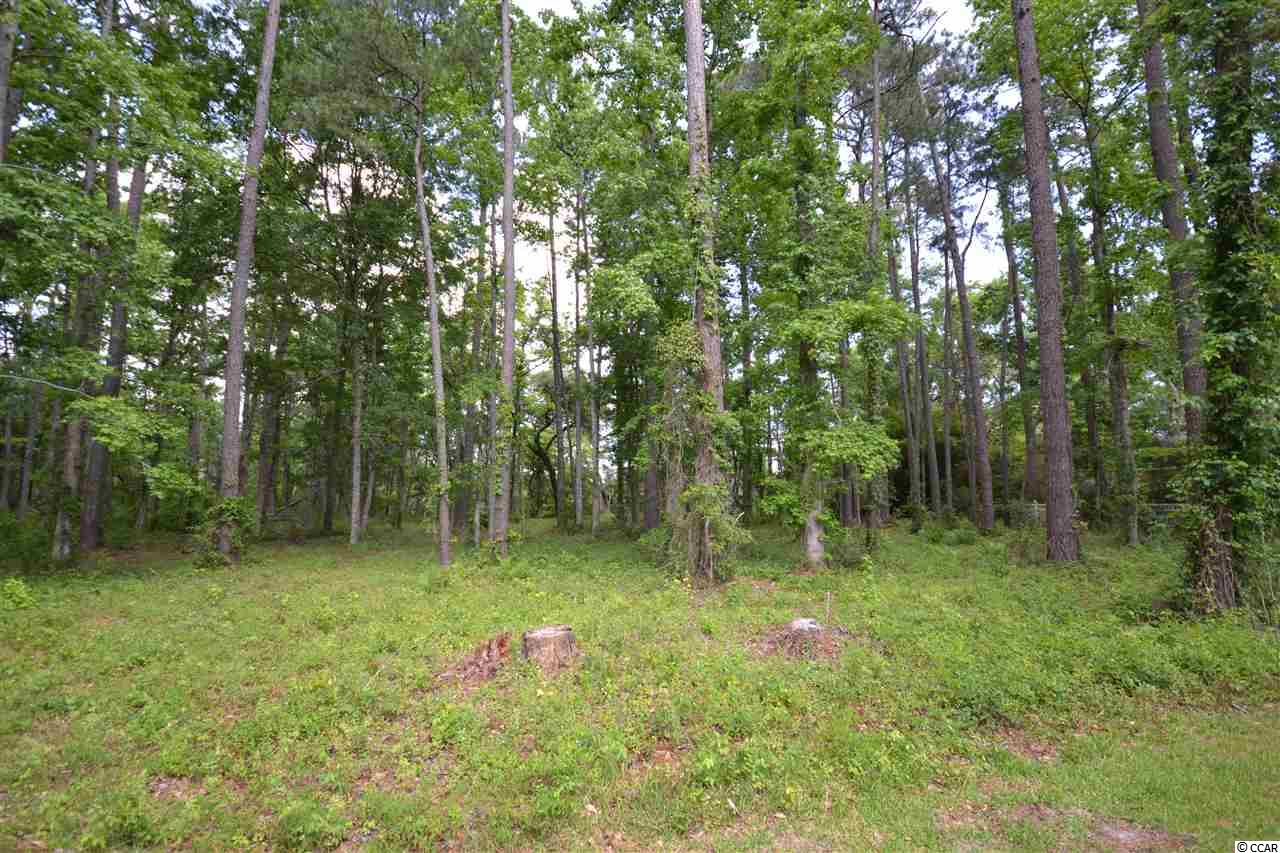 Lot 9 Tuckers Road Pawleys Island, SC 29585 - Photo 3 of 11 Gallery Image 3