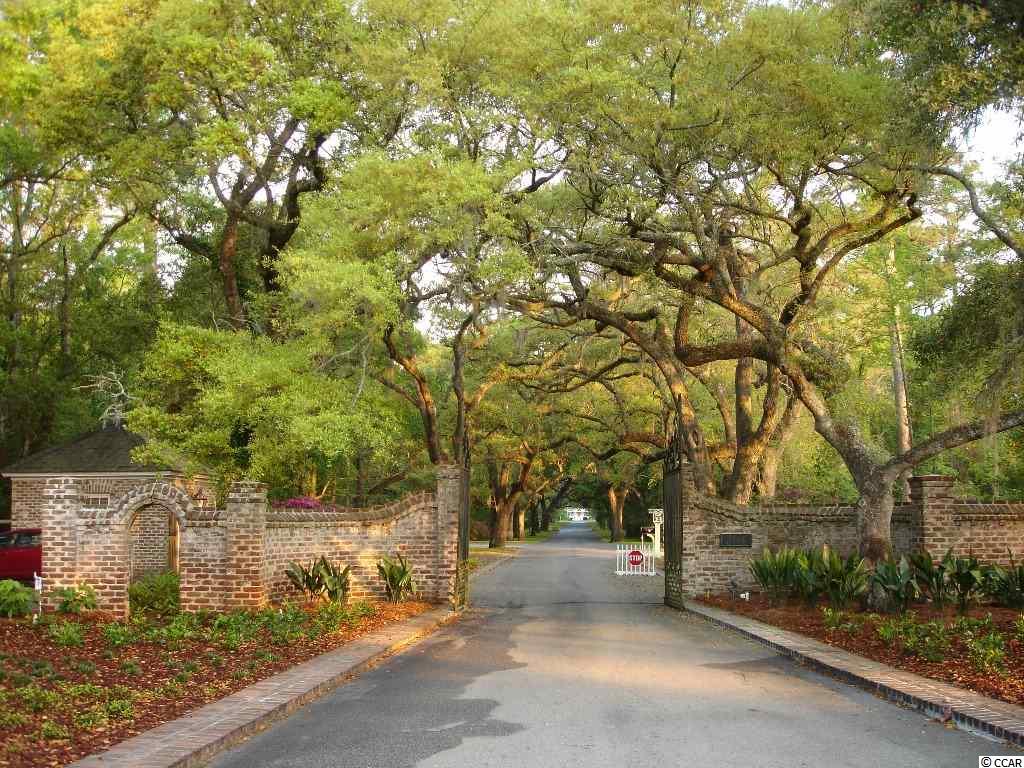 Lot 9 Tuckers Road Pawleys Island, SC 29585 - Photo 8 of 11 Gallery Image 8
