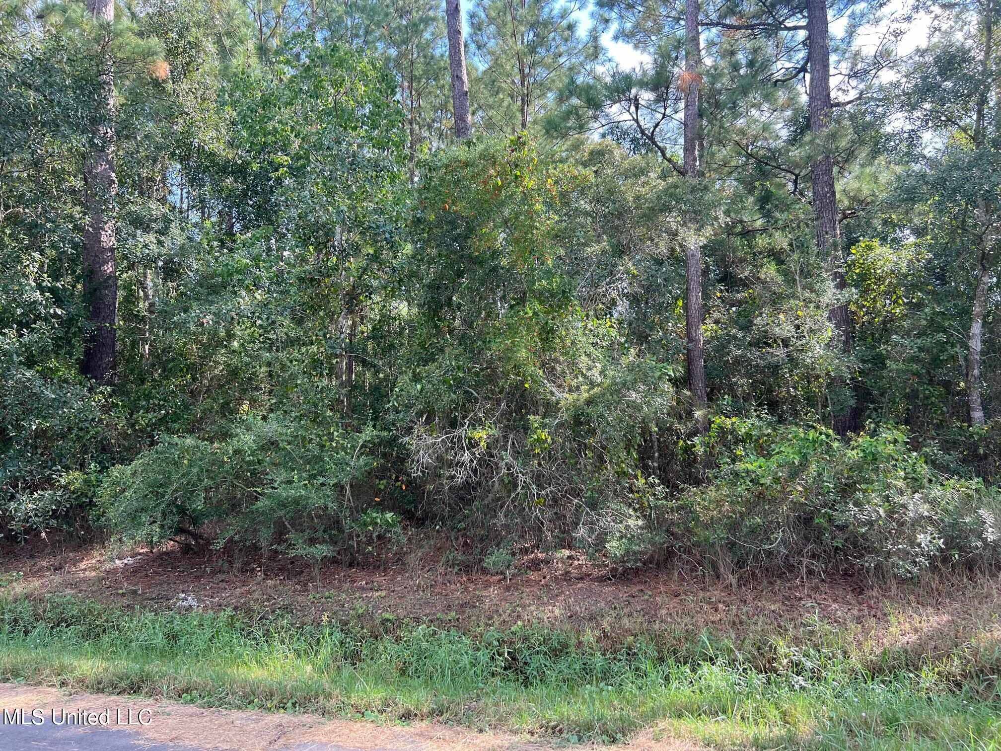 Tyler Street Bay St. Louis, MS 39520 - Photo 2 of 5 IMG_4051