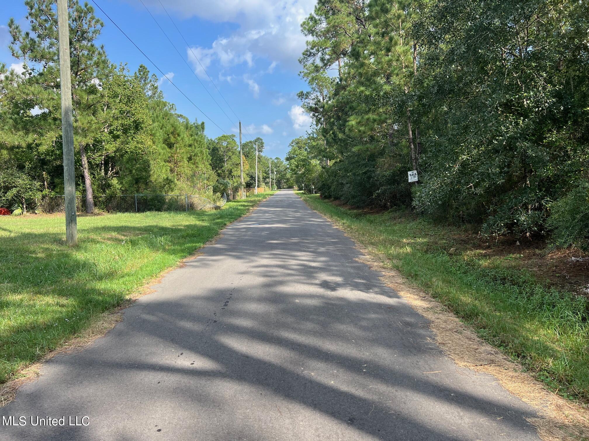 Tyler Street Bay St. Louis, MS 39520 - Photo 4 of 5 IMG_4054