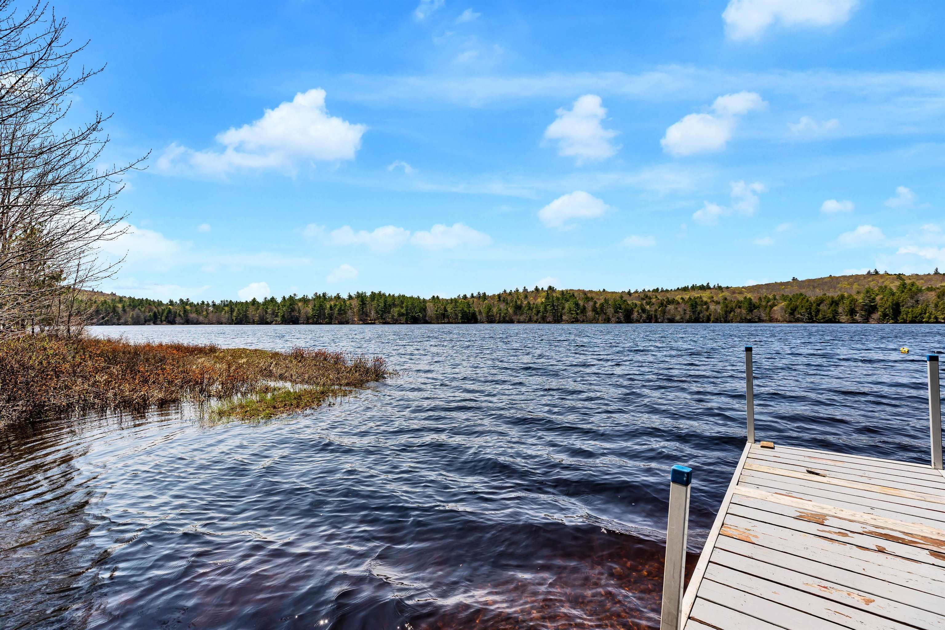 565 Center Pond Road Stoddard, NH 03464 - Photo 8 of 39