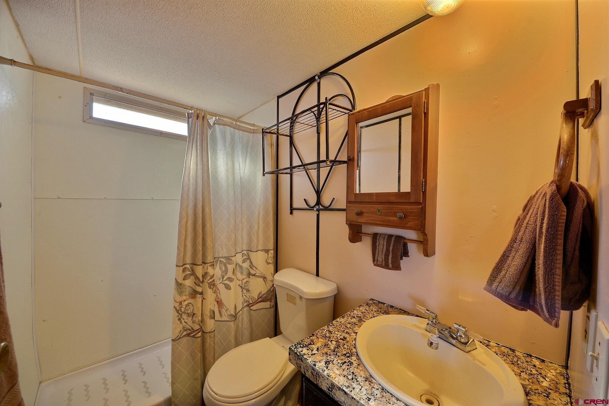 20013 Kenosha Road Austin, CO 81410 - Photo 7 of 14 Gallery Image 7