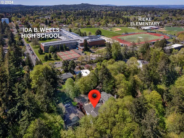 a view of a area with lots of trees