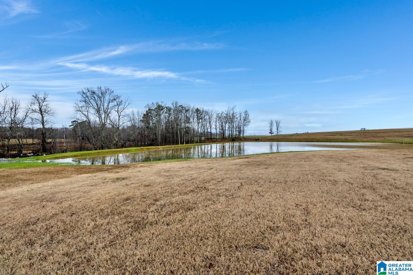 2712 Loop Road Steele, AL 35987 - Photo 38 of 45