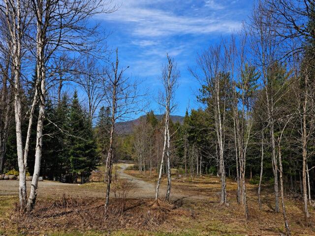 8330 State Rte 3 Vermontville, NY 12989 - Photo 14 of 26