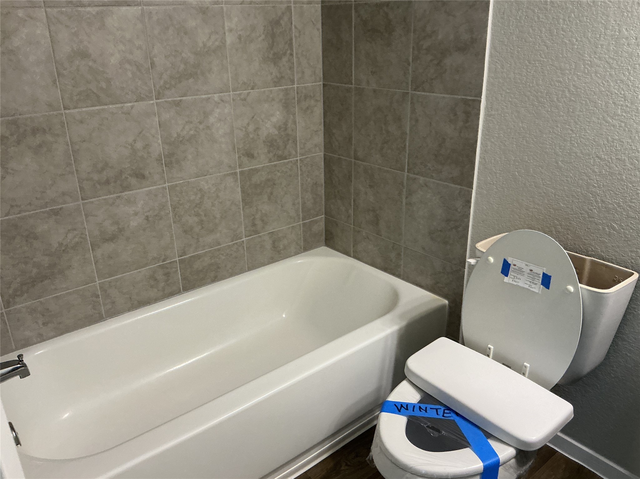 123 Bluestem Drive Elgin, TX 78621 - Photo 12 of 18