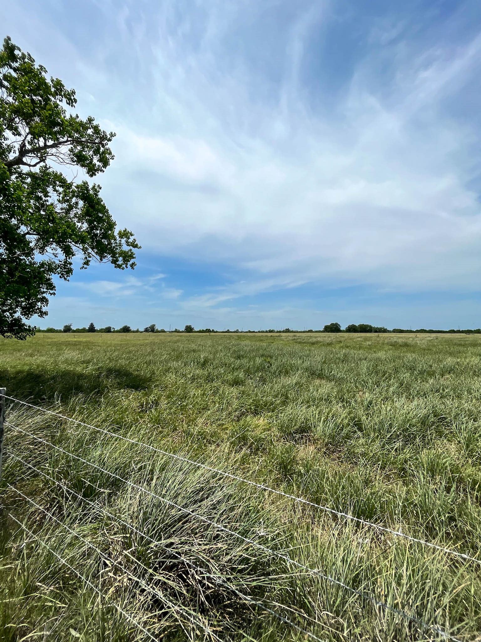 16 Barak Road Guy, TX 77444 - Photo 10 of 13