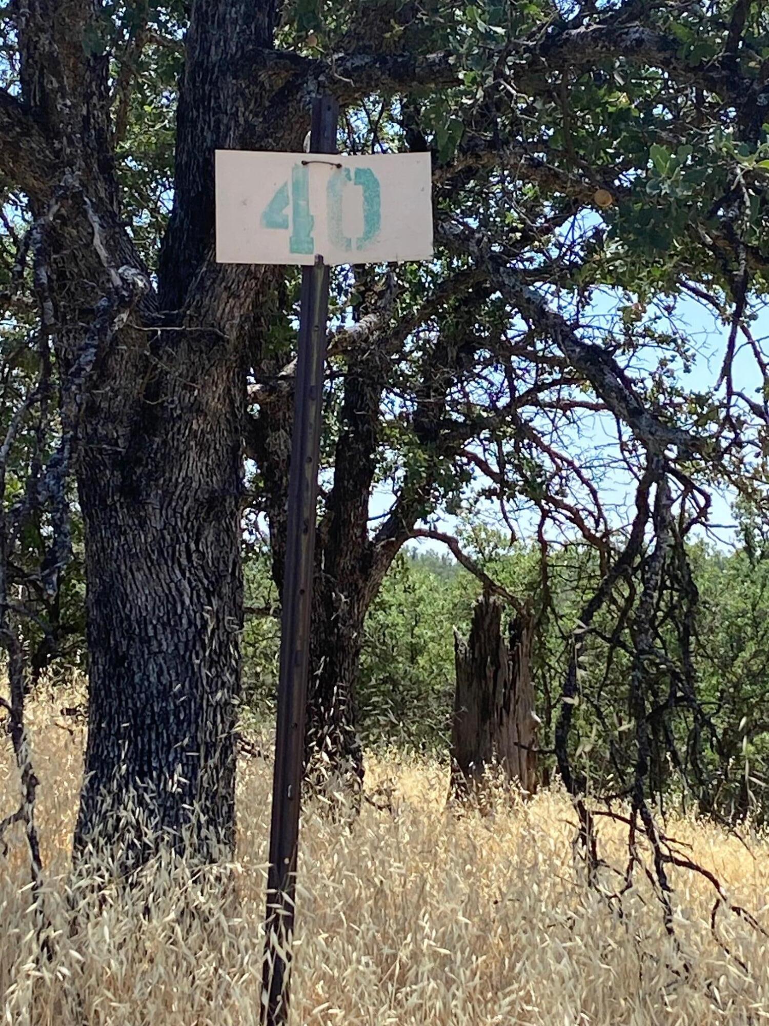 Quail Ridge Road Cottonwood, CA 96022 - Photo 5 of 5 a view of a tree with a bench