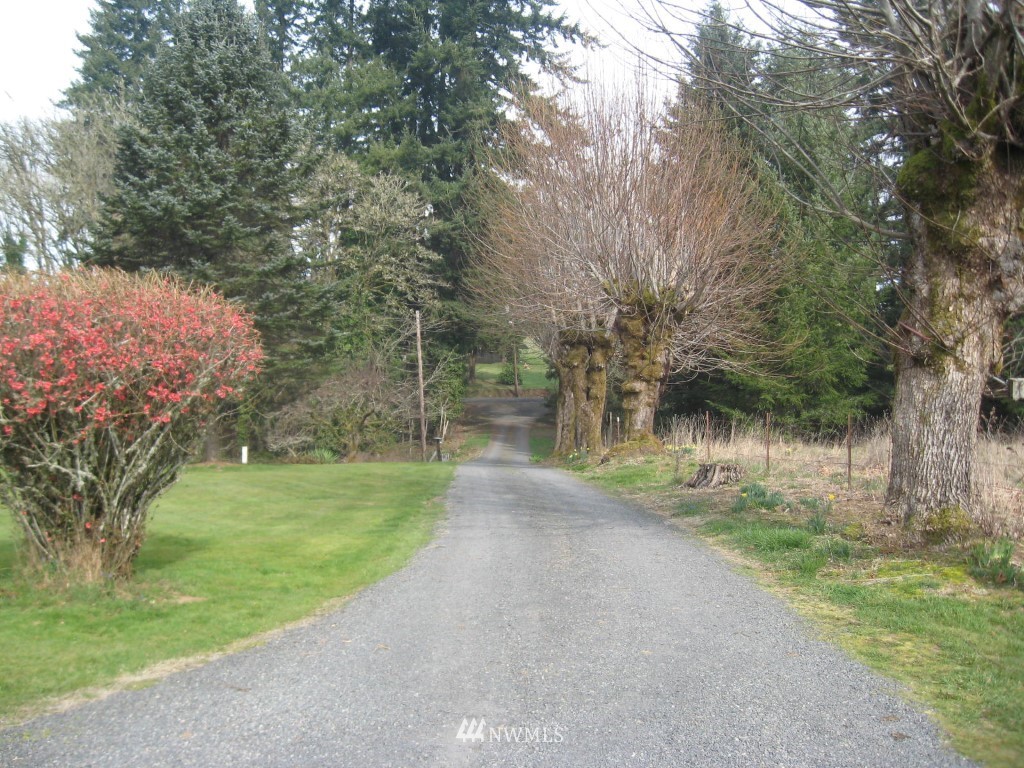 233 Southeast Cowlitz Street Winlock, WA 98596 - Photo 16 of 21 Gallery Image 16