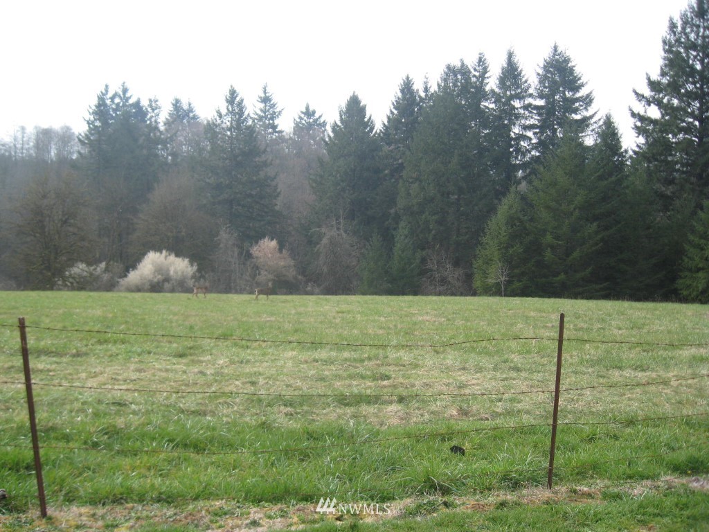 233 Southeast Cowlitz Street Winlock, WA 98596 - Photo 17 of 21 Gallery Image 17