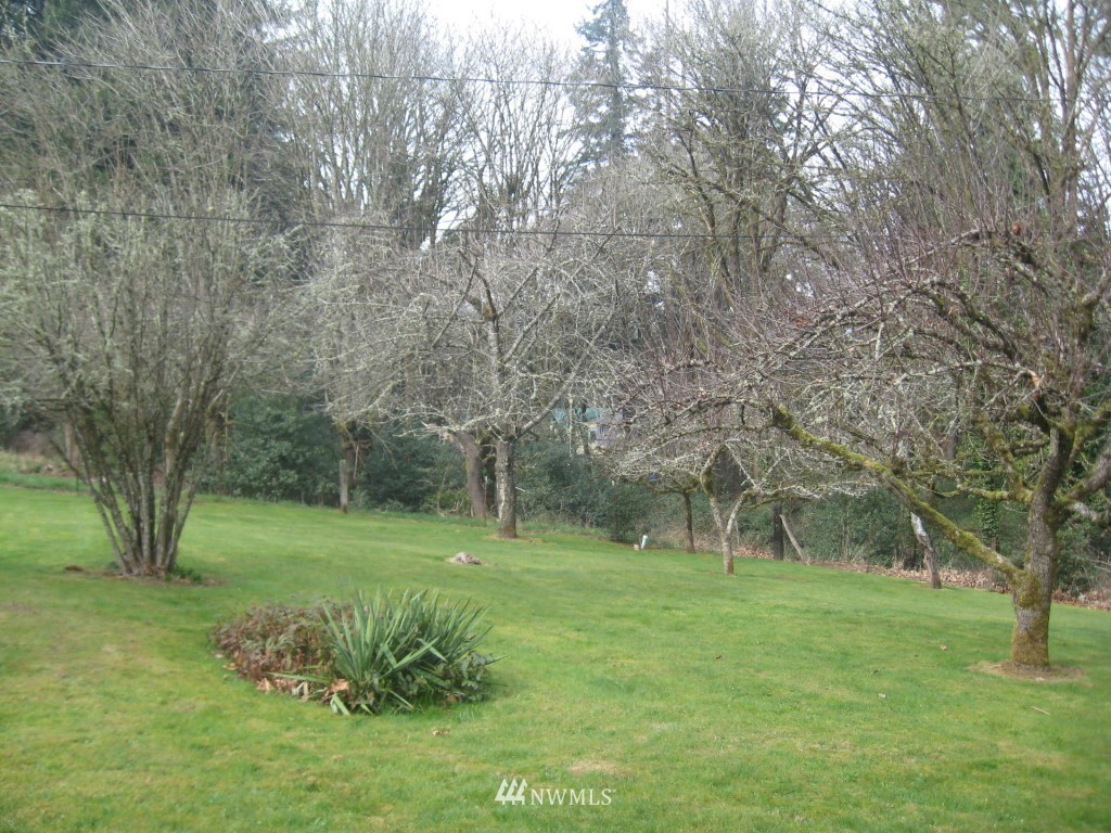 233 Southeast Cowlitz Street Winlock, WA 98596 - Photo 19 of 21 Gallery Image 19