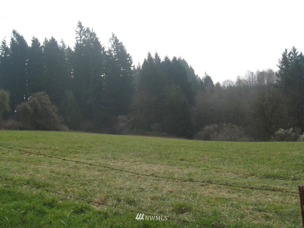 233 Southeast Cowlitz Street Winlock, WA 98596 - Photo 20 of 21 Gallery Image 20