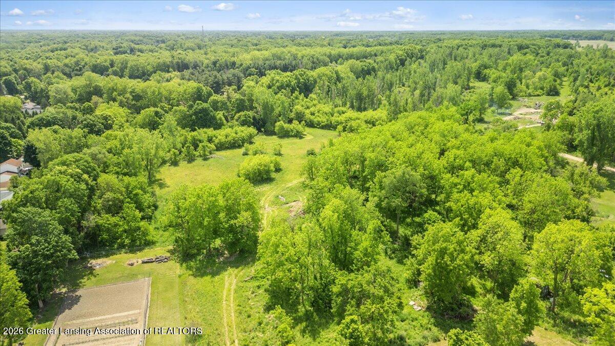 0 South Bridge Street Dimondale, MI 48821 - Photo 10 of 21 10-Media Jett - 01
