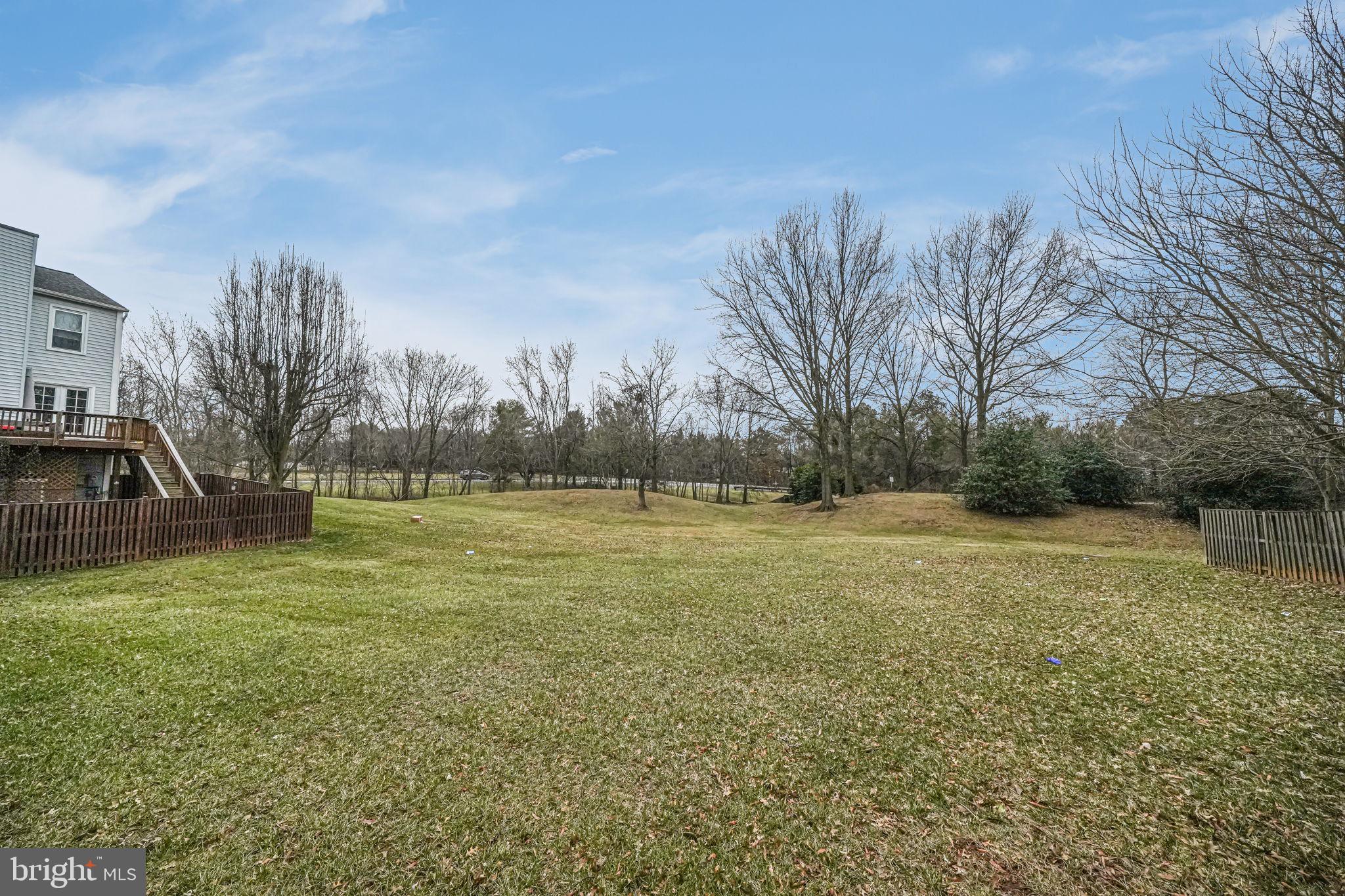 13417 Elevation Lane Herndon, VA 20171 - Photo 21 of 30 a view of a field of grass and trees
