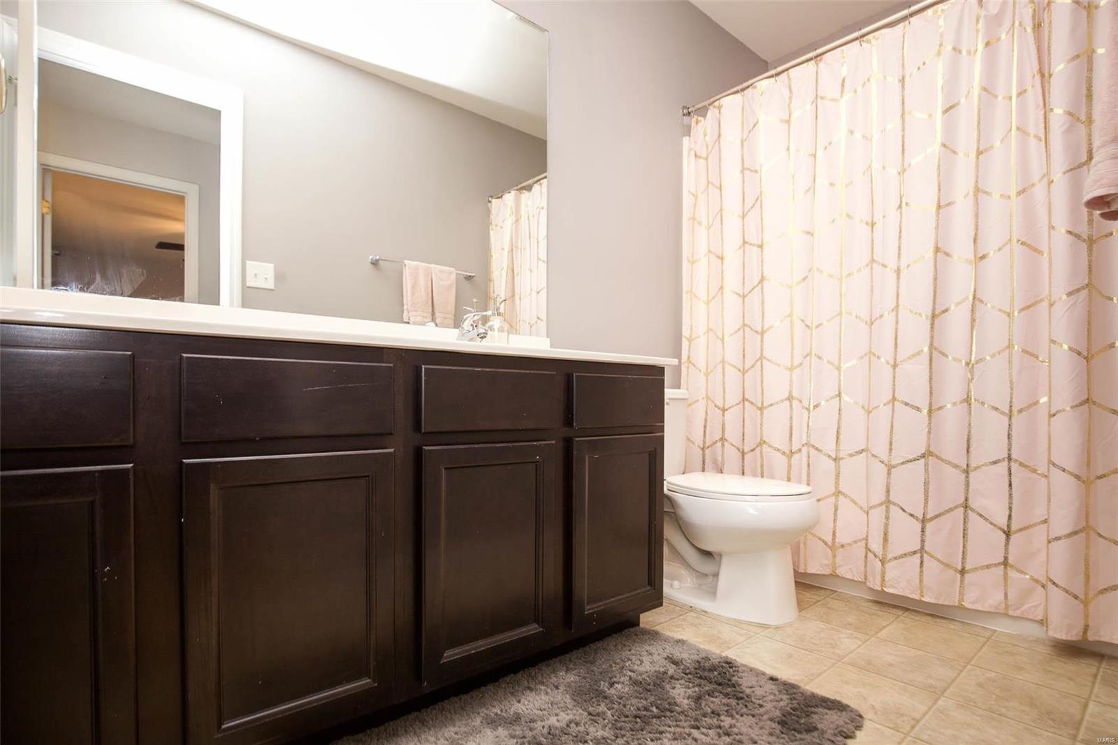 410 Spring Trace O'Fallon, MO 63368 - Photo 22 of 32
