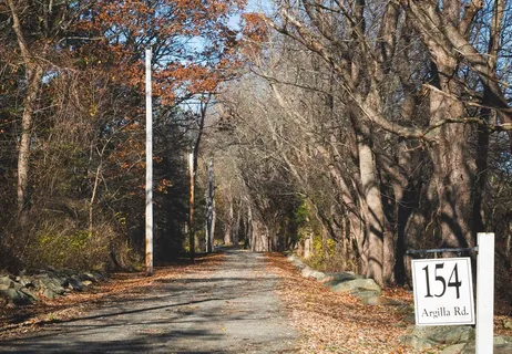 a view of street along with trees