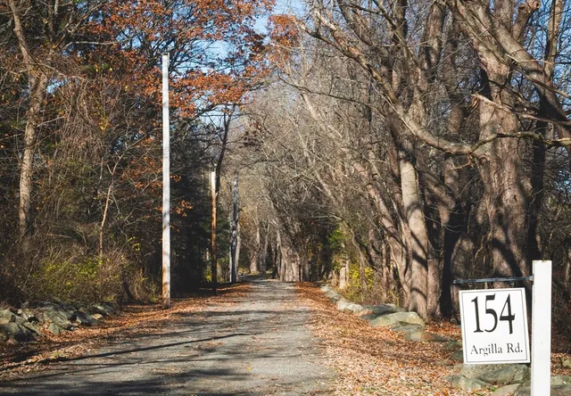 a view of street along with trees