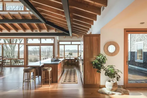a living room with furniture and a potted plant