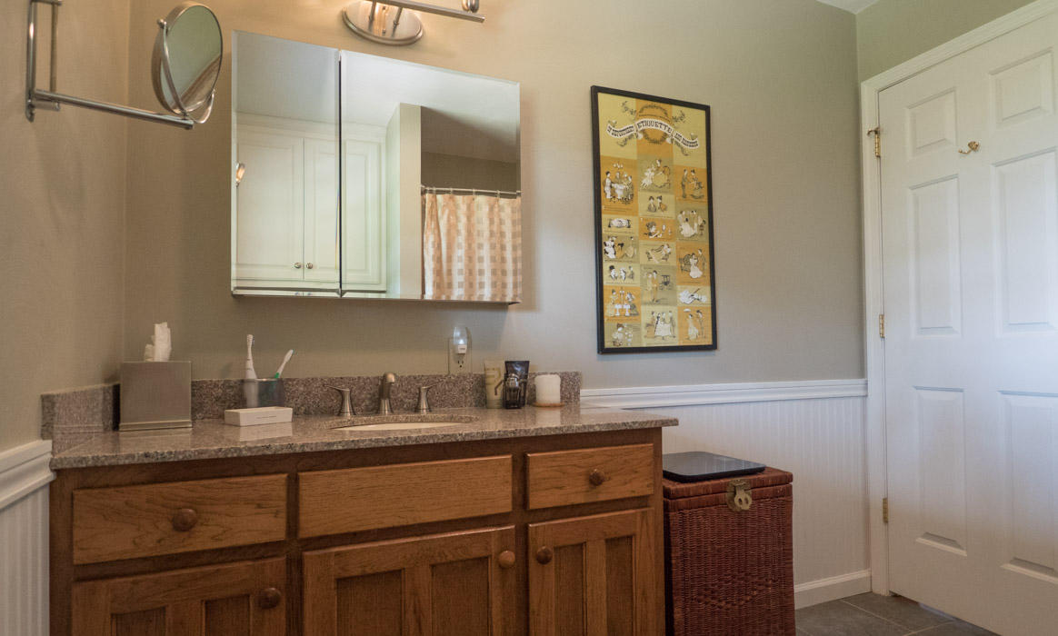 2545 Lees Gap Road Fincastle, VA 24090 - Photo 28 of 42 Full Bath
