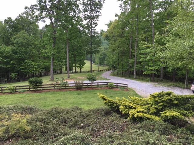 2545 Lees Gap Road Fincastle, VA 24090 - Photo 42 of 42 View from Yard