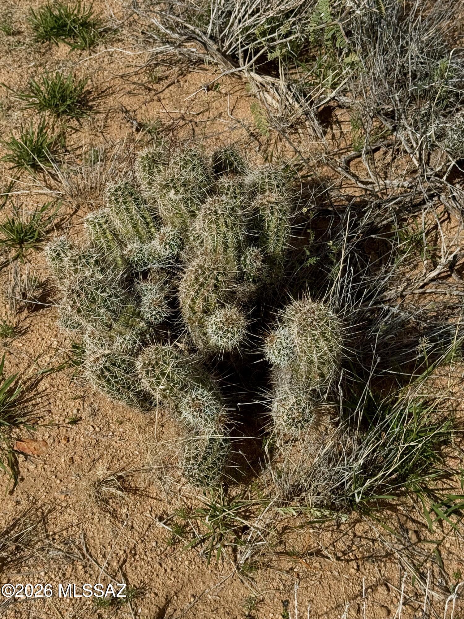 0 South Sierrita Mountain Road Tucson, AZ 85736 - Photo 5 of 24