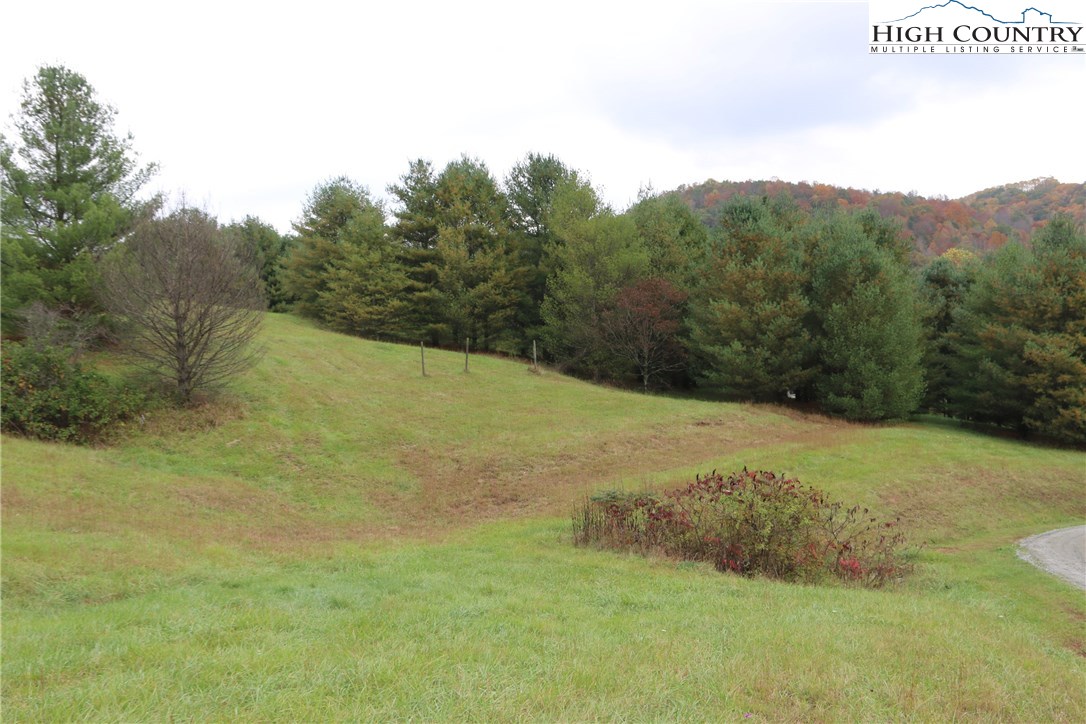Lot 5-20 Bill Cooper Road Crumpler, NC 28617 - Photo 4 of 9 Gallery Image 4