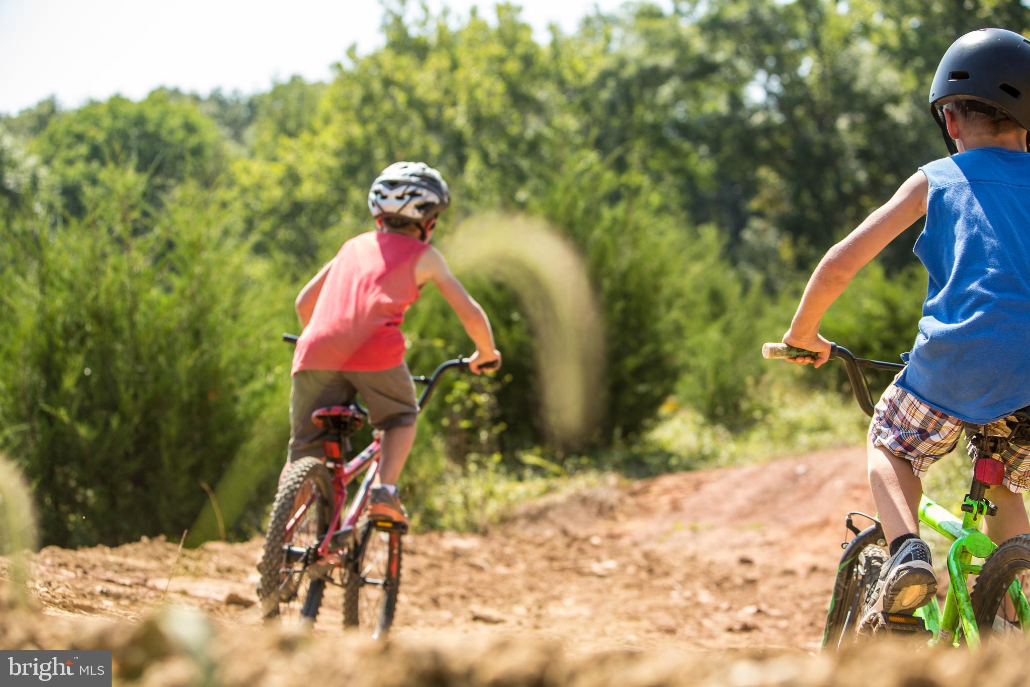 24940 Peach Rdg Court Aldie, VA 20105 - Photo 73 of 86