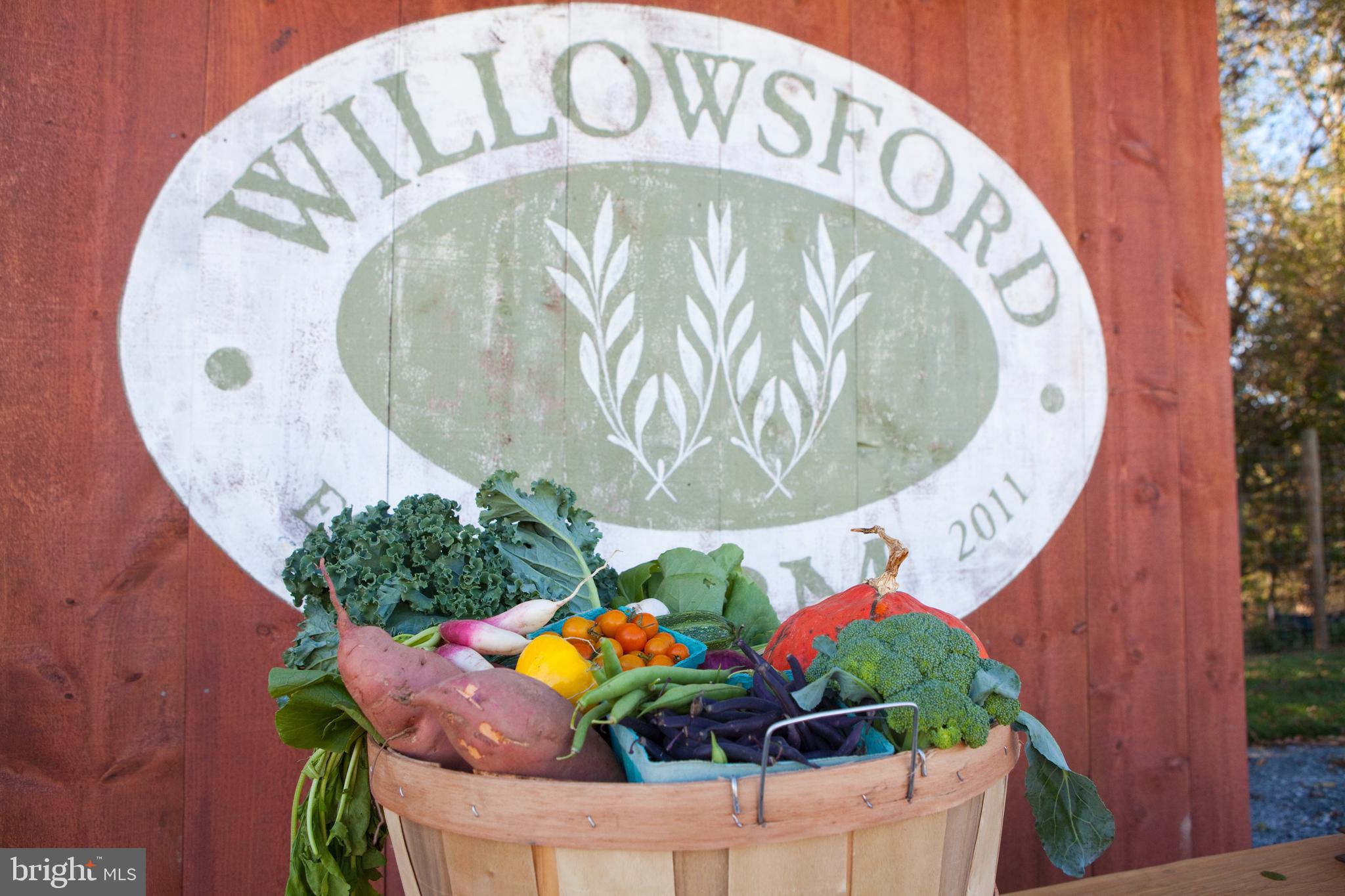 24940 Peach Rdg Court Aldie, VA 20105 - Photo 82 of 86