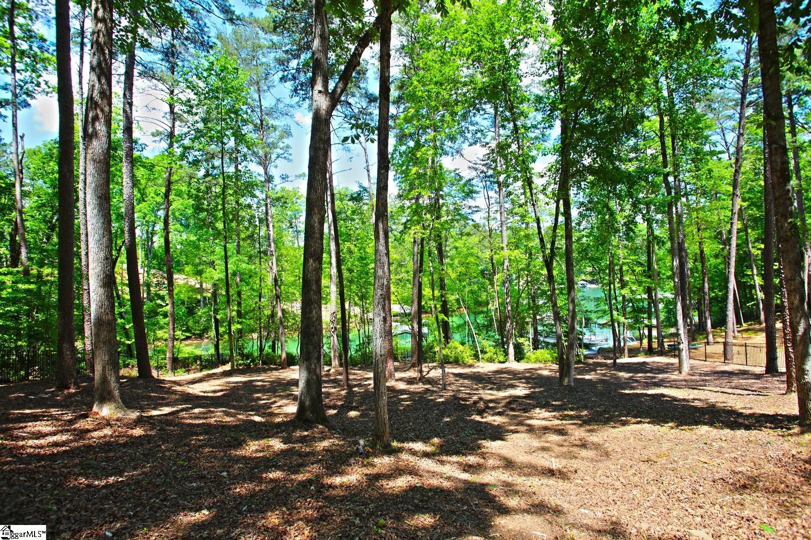114 Cool Rdg Drive Seneca, SC 29672 - Photo 25 of 46 Gallery Image 25