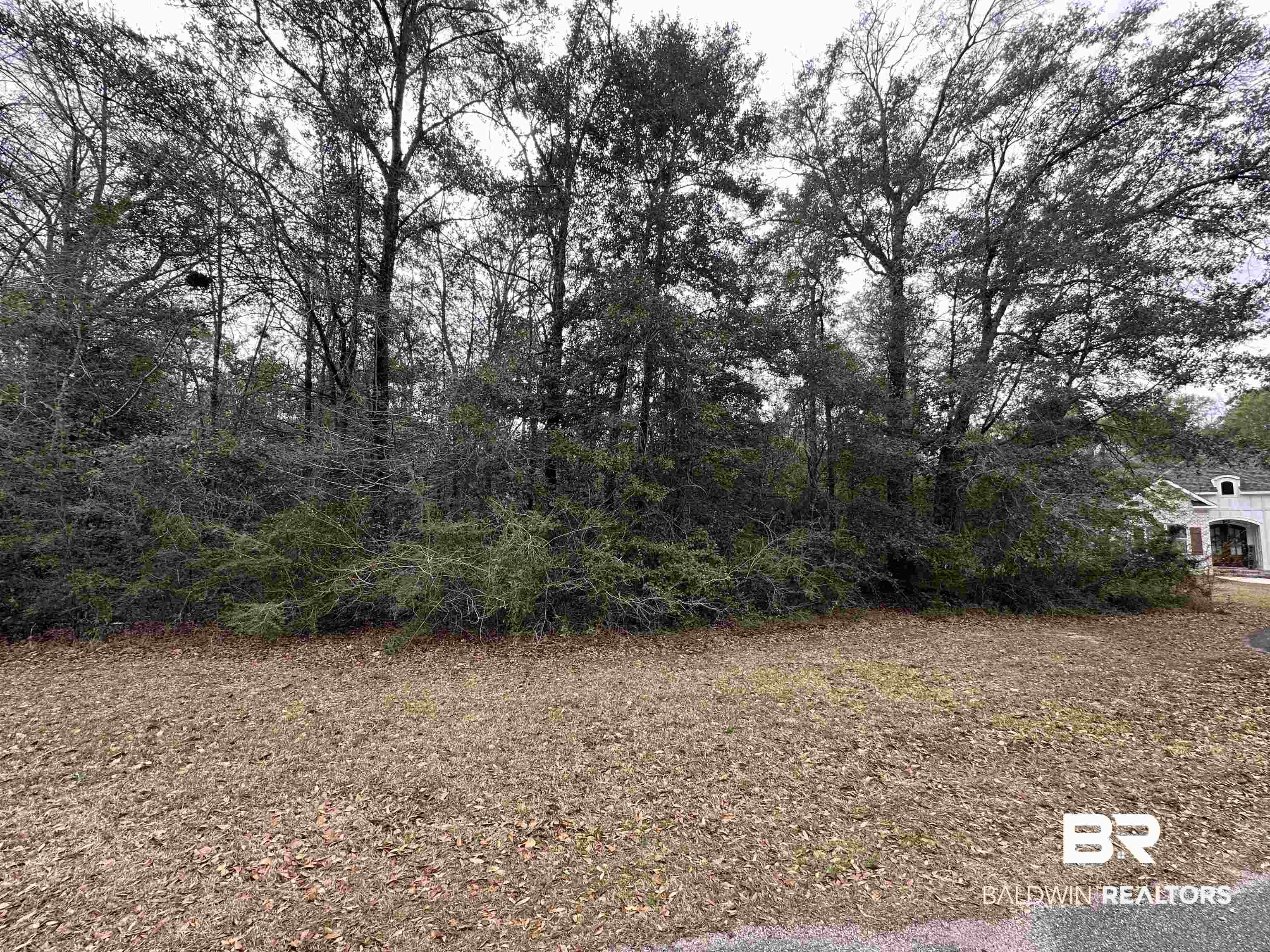 0 Timber Springs Drive Wilmer, AL 36587 - Photo 4 of 4