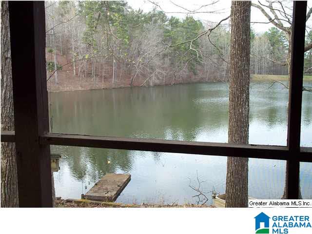 310 County Road 921 Delta, AL 36258 - Photo 4 of 14
