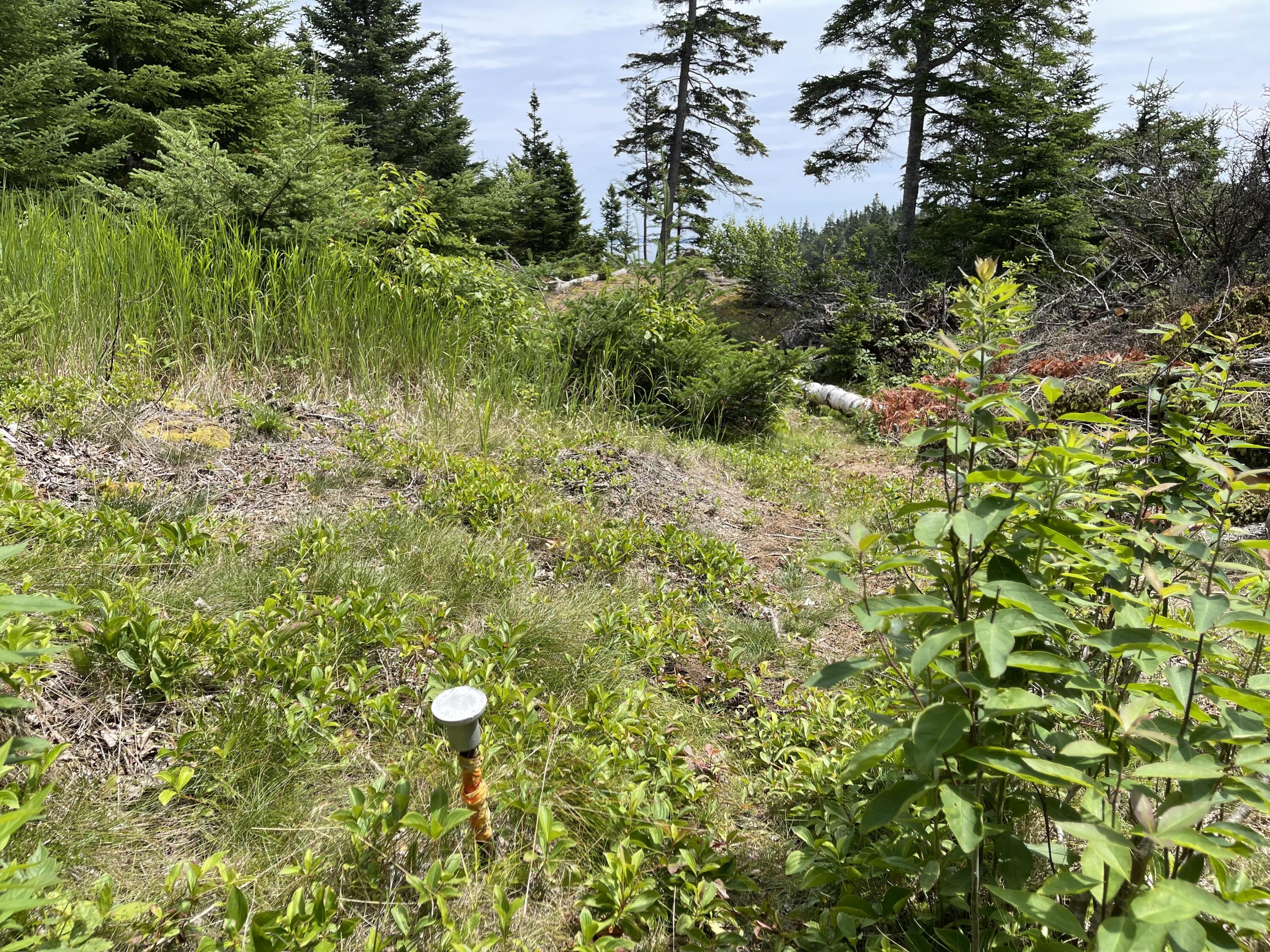 69 Havenhurst Road Lubec, ME 04652 - Photo 59 of 59 IMG_5262