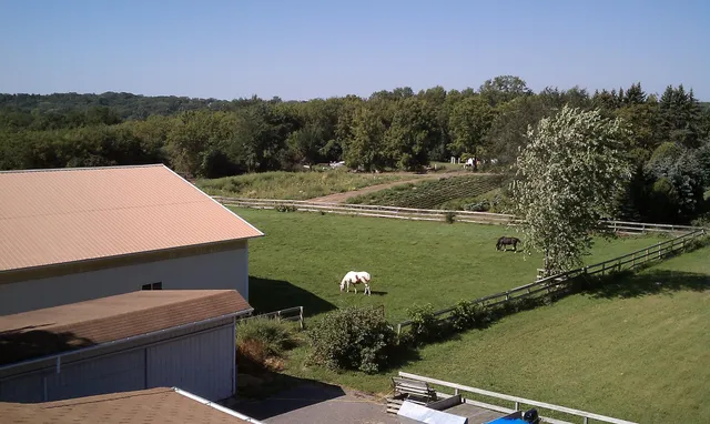 $2,275,000 | 36-xx Watertown Road, Maple Plain, MN 55359