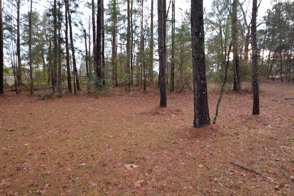 3309 Hamilton Road Opelika, AL 36804 - Photo 5 of 27 Gallery Image 5
