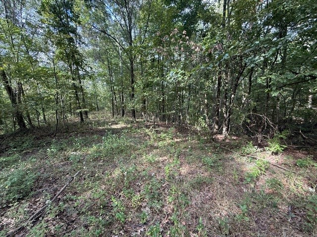 19101 Harrison Street Road Charleston, IL 61920 - Photo 21 of 69 Gallery Image 21