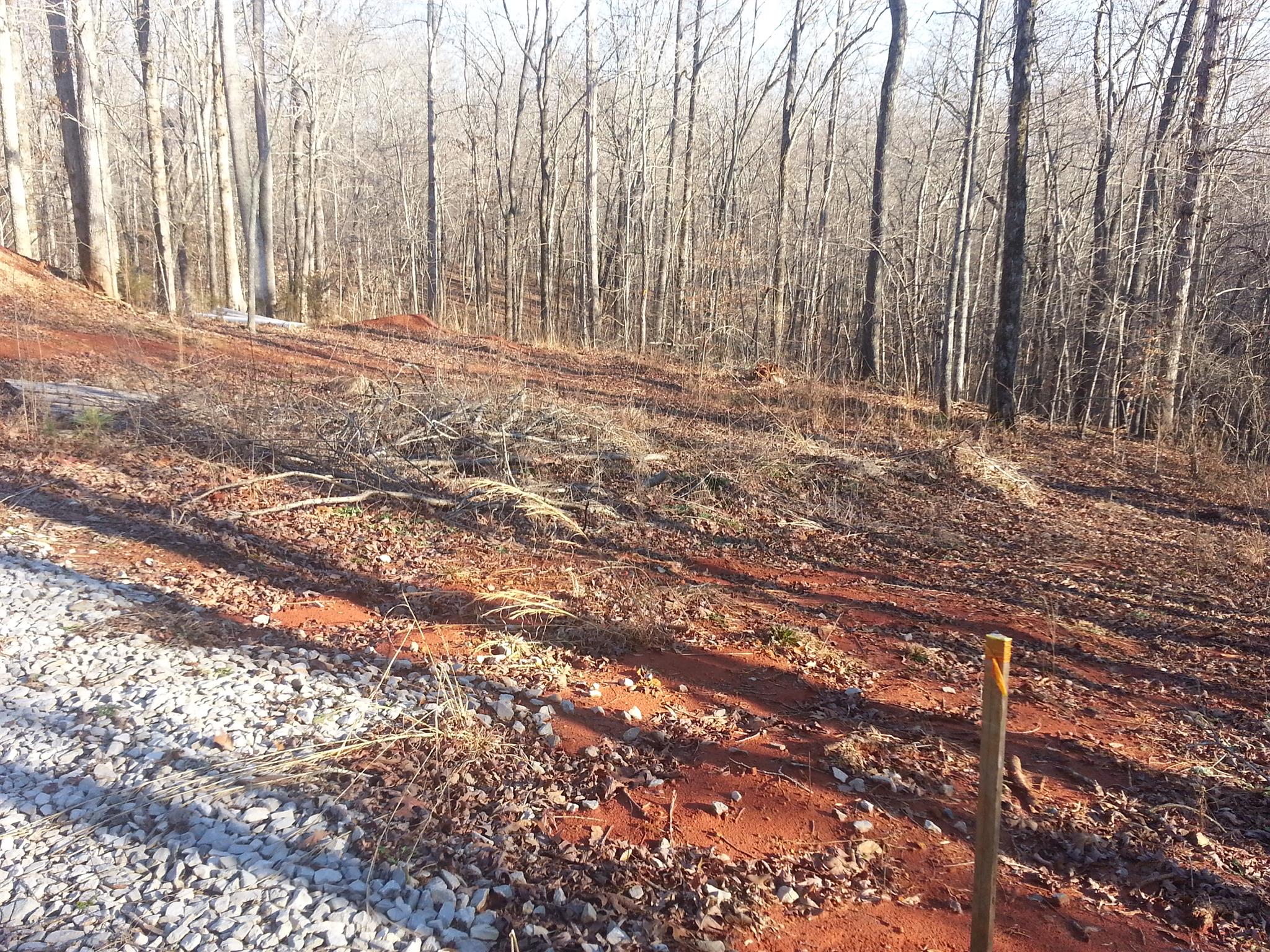 199 Hutchins Bend Road Sparta, TN 38583 - Photo 8 of 20 One cleared building site across from garage
