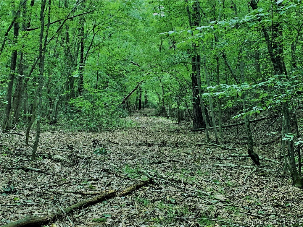 1 Newton Road Newtown, VA 23126 - Photo 19 of 20