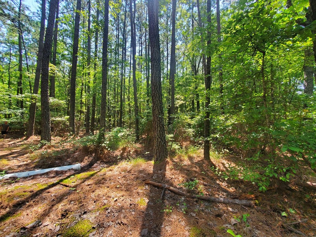 610 Wills Road, Unit 2 Blackstone, VA 23824 - Photo 6 of 23 Gallery Image 6