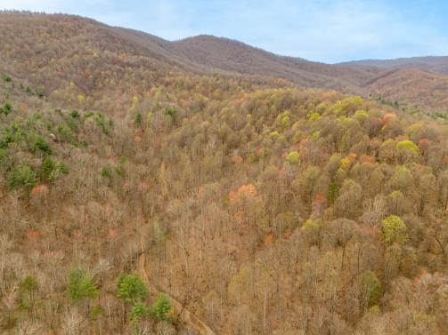 0 Adventure Mountain Road Montvale, VA 24122 - Photo 3 of 8 3pw83p182p