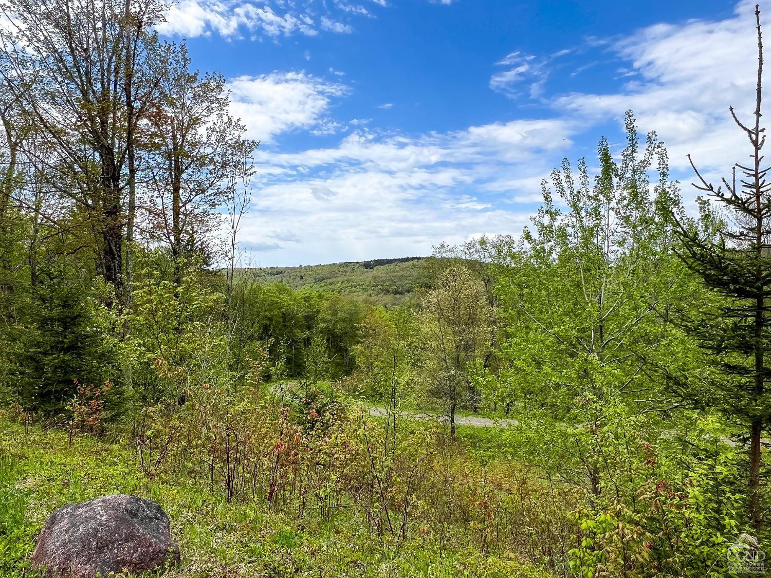 0 State Highway Andes, NY 13731 - Photo 11 of 90 a view of a bunch of trees and bushes