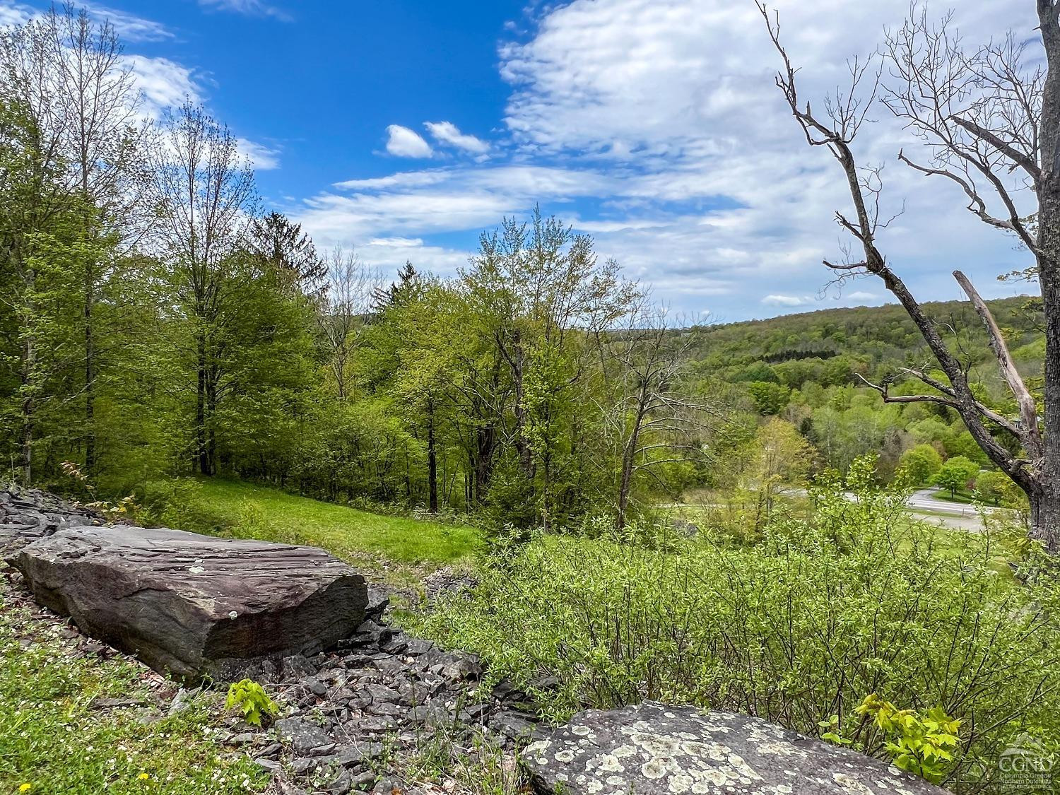 0 State Highway Andes, NY 13731 - Photo 13 of 90 Photo 13