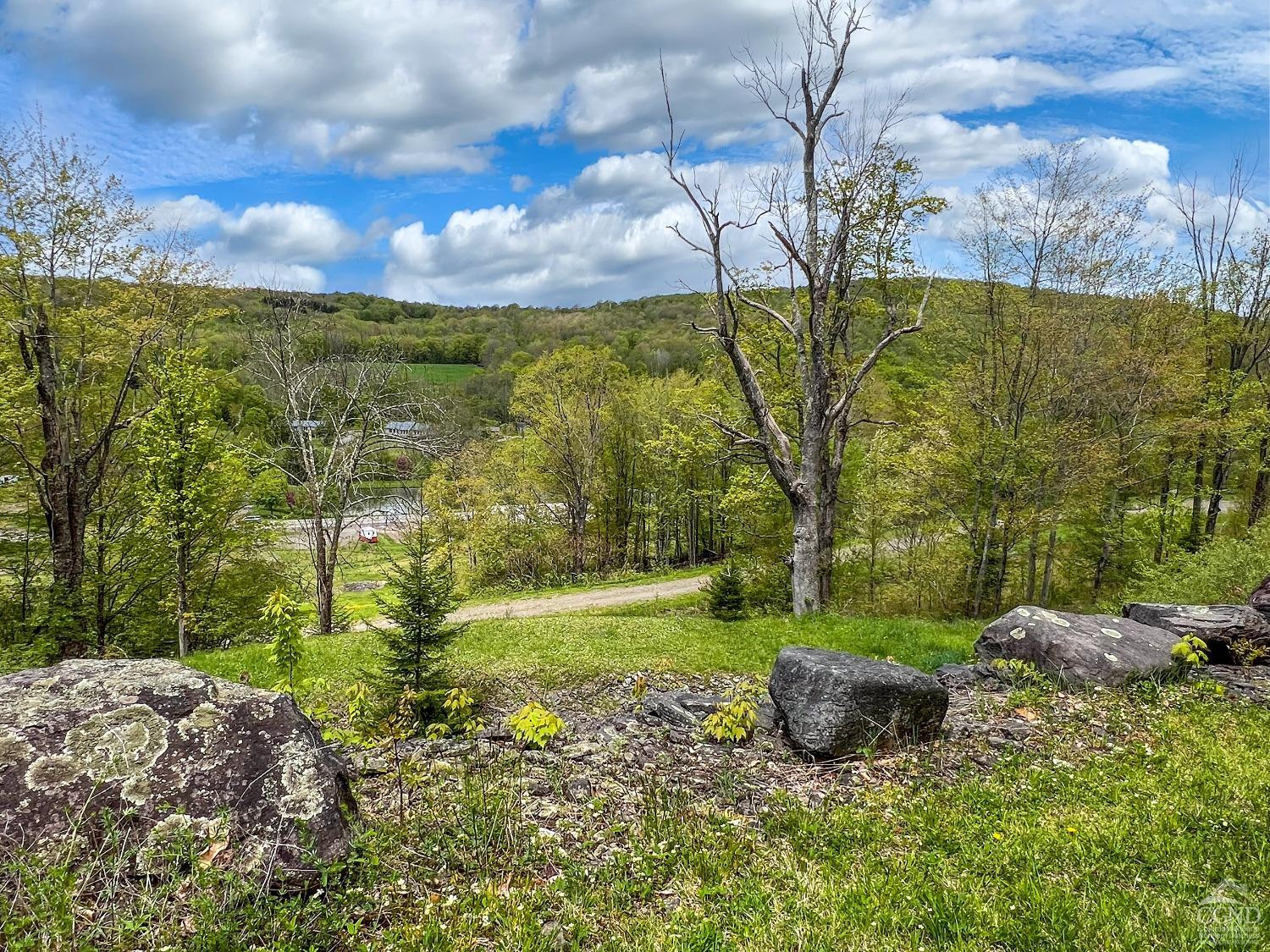 0 State Highway Andes, NY 13731 - Photo 14 of 90 a view of a garden with a building in the background