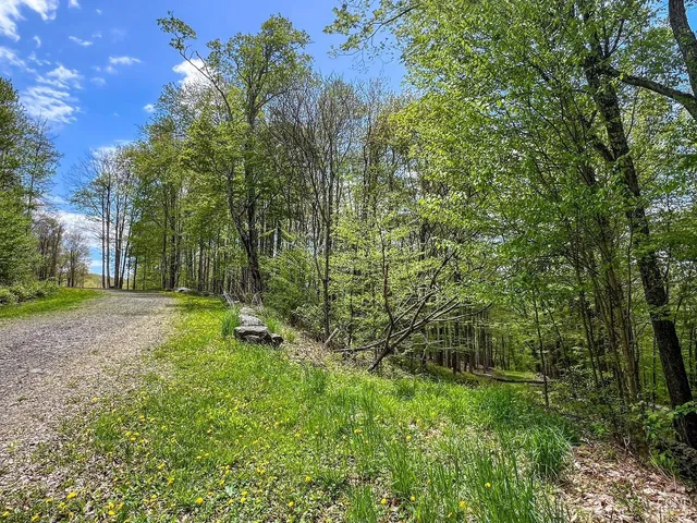 a view of a backyard of a house