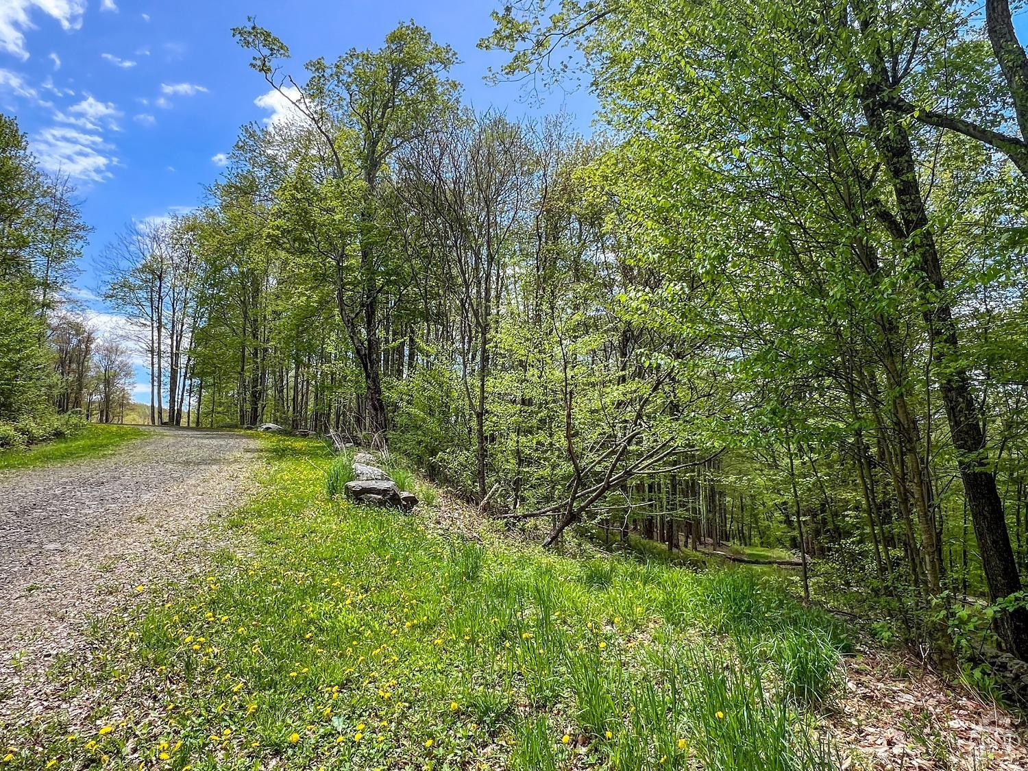 0 State Highway Andes, NY 13731 - Photo 16 of 90 a view of a yard with a tree