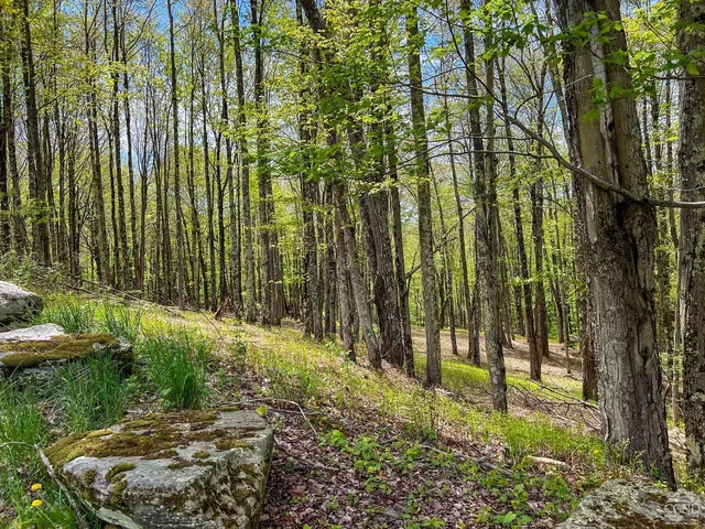 a view of a yard with a house