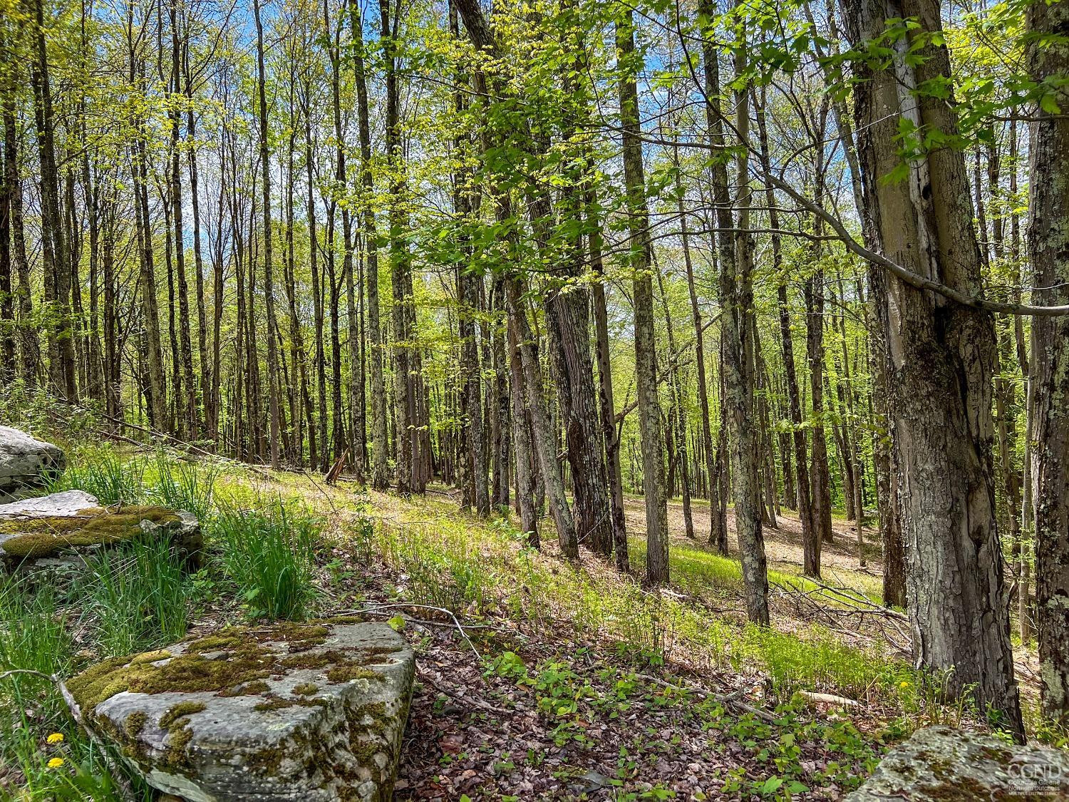0 State Highway Andes, NY 13731 - Photo 18 of 90 a garden view