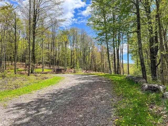 a view of an outdoor space and yard